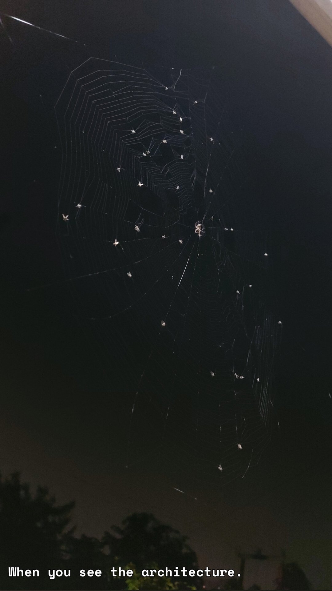 When you see the architecture.